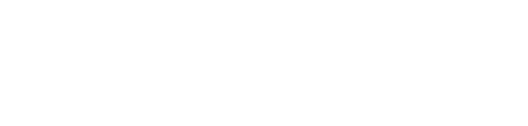 White Logo IMO Holidays